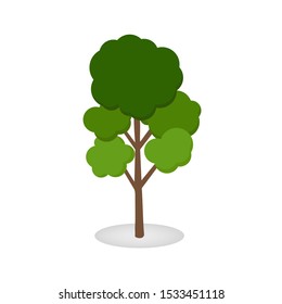Green tree on the White Background.vector illustration and icon