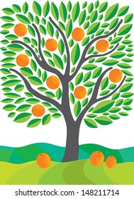 Green tree with oranges. To ripen. Vector illustration