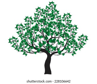 Green tree over white background with lush foliage