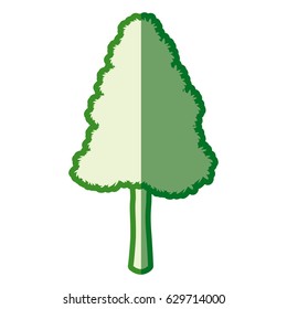 green tree pine natural forest silhouette