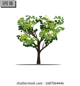 Green tree, a place for text, vector