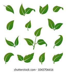 Green tree and plant leaves vector icons isolated on white background. Eco symbols set. Plant green leaf, organic natural floral illustration