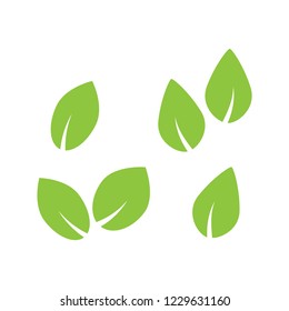 Green tree and plant leaves vector icons isolated on white background. Eco symbols set. Plant green leaf, organic natural floral illustration