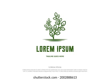 Green Tree Plant for Nature Garden Environment Logo Design Vector