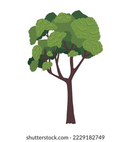 green tree plant nature icon