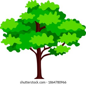 Green tree plant vector illustration. Tree for decorating gardens and home designs.