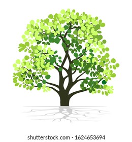 Green tree plants and roots grow in the garden with a white background. Illustration vector