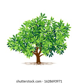 Green tree plants and roots grow in the garden with a white background. Illustration vector
