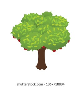 Green tree with red ripe apples harvest isometric icon 3d vector illustration