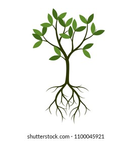 Green Tree with Root.