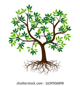 Green tree and root leaves against a white background. Illustration vector