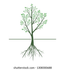 Green Tree and Root ,Nature.vector illustration