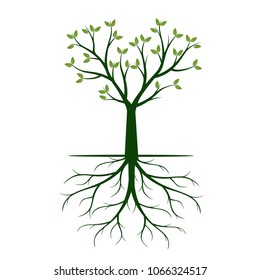 Green Tree with root. Vector Illustration.