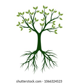 Green Tree with root. Vector Illustration.