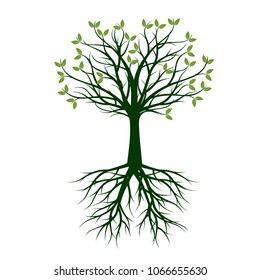 Green Tree with Root. Vector Illustration.