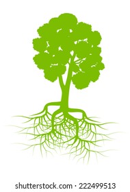 Green tree with roots background vector
