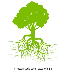 Green tree with roots background vector
