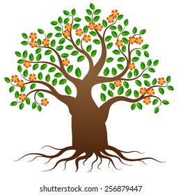 Green tree with roots and flowers on white background
