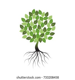Green tree with roots an icon on a white background.
