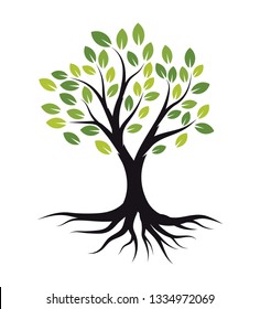 Green Tree With Roots Illustration