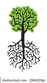 green tree with roots isolated on white background, vector illustration
