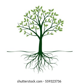 Green Tree with Roots and Leafs. Vector Illustration.