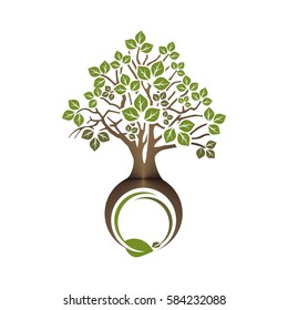 green tree with roots and leaves