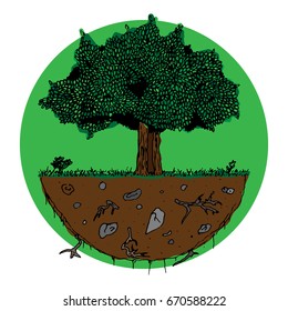 A green tree with roots on an islet of land. Logo tree with leaves. Vector illustration.