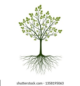 Green Tree with roots on white background. Vector Illustration.