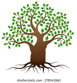 Green tree with roots on white background