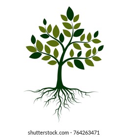 Green tree with roots on a white background. Vector Illustration.