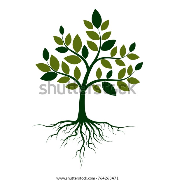 白い背景に緑の木と根 ベクターイラスト のベクター画像素材 ロイヤリティフリー