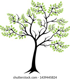 green tree with roots vector ilistrasion