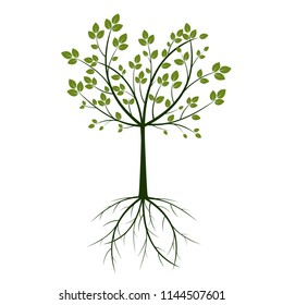 Green Tree and Roots. Vector Illustration. Nature and garden.
