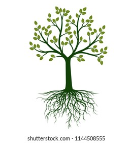 Green Tree and Roots. Vector Illustration. Nature and garden.