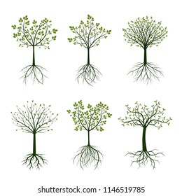 Green Tree and Roots. Vector Illustration. Nature and garden.