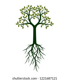 Green Tree and Roots. Vector Illustration.