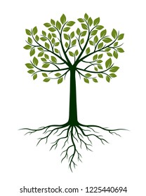 Green Tree and Roots. Vector Illustration. Plant and Garden.