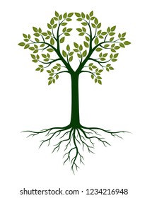 Árbol verde y raíces. Ilustración vectorial. Planta y jardín.