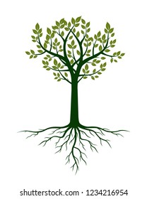 Tree Logo Design Root Vector Tree Stock Vector (Royalty Free ...