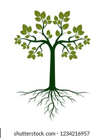 Green Tree and Roots. Vector Illustration. Plant and Garden.