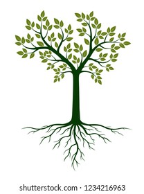 Green Tree and Roots. Vector Illustration. Plant and Garden.