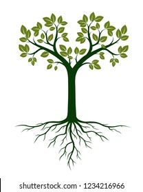 Green Tree and Roots. Vector Illustration. Plant and Garden.