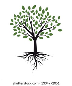 Green Tree with Roots Vector illustration