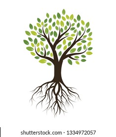 Green Tree with Roots vector illustration