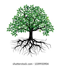 Green Tree with Roots. Vector Illustration