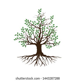 Green Tree with Roots. Vector Illustration