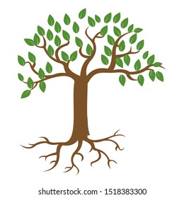 Green Tree with Roots. Vector Illustration.