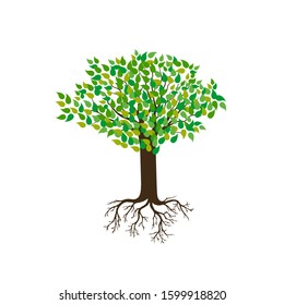 Green Tree with Roots. Vector Illustration.