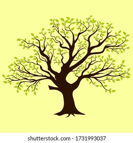 Árbol verde con raíces. Ilustración vectorial.